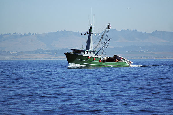 fishing trawler, marine safety